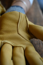 The Tuttle Glove